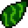 Hedge Seed