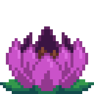 Lotus Lamp