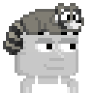 Raccoon Hat