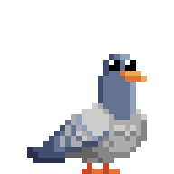 Pigeon