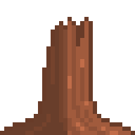 Sequoia Tree