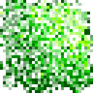 Foliage