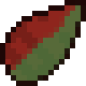 Festive Socks Seed