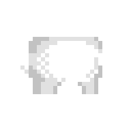 Polar Bear Suit