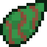 Fireworks Feet Seed