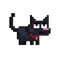 Black Cat Leash