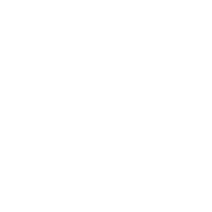 Cobweb