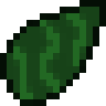 Climbing Vine Seed