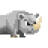 Riding Rhino