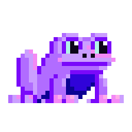 Arlequin Toad Pet