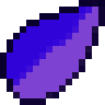 Arlequin Toad Pet Seed