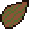 Prehistoric Palm Seed