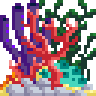 Coral Reef Block