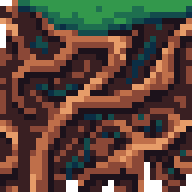 Rainforest Roots