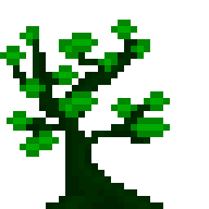 Eco