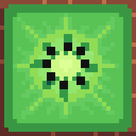 Fresh Kiwi Block