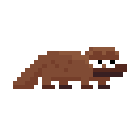 Pet Platypus