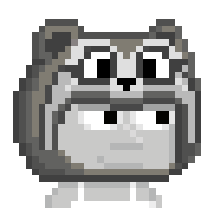 Raccoon Hood