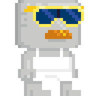 Disco Dude's Shades