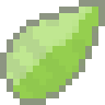 Cactus Horns Seed