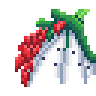 Dragon Fruit Dragon Wings