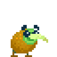 Kiwi Kiwi Pet
