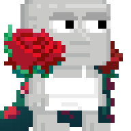 Rose Cape