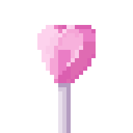 Lovely Lollipop
