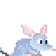 Riding Bilby