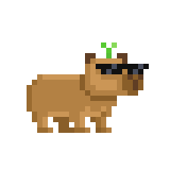 Cool Capybara
