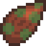 Pumpkin Pint Seed