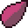Rosie's Shorts Seed
