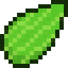 Bush Seed