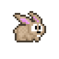 Baby Bunny