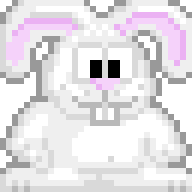 Bouncy Bunny