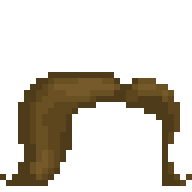 Long Brown Hair