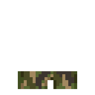 Camo Pants