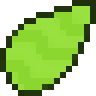 Cactus Seed