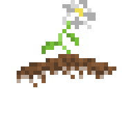 Brainflower