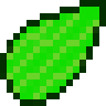 Rice Seed