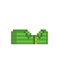 Green Shirt
