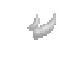 Rhino Horn