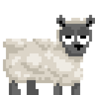 Sheep