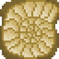 Ammonite Block