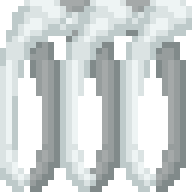 Dino Ribcage