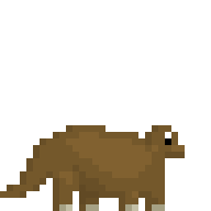 Brown Pet Apatoceratops