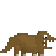 Brown Pet Tyranotops