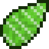 Prehistoric Flowering Fern Seed