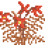 Prehistoric Red Fern