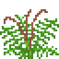 Prehistoric Fern